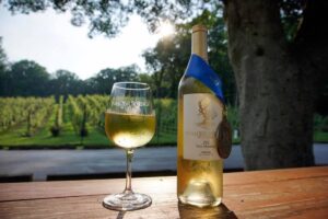 Bottle and glass of award-winning wine at Paradise Springs Winery