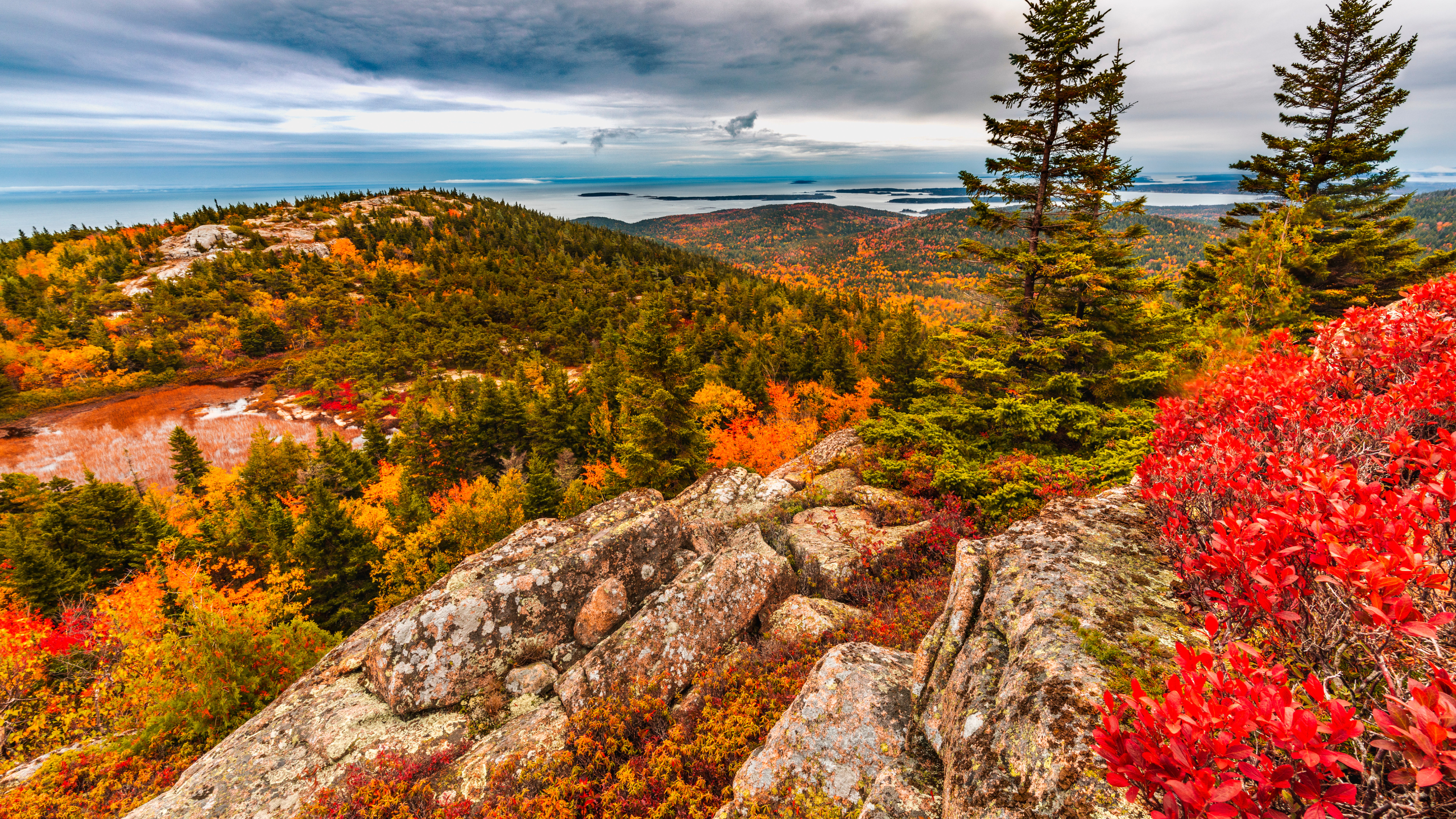 Northern Virginia's Peak Foliage Schedule for 2023