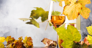 Top 5 Wineries for Fall Foliage