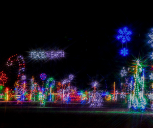 Holiday Light Shows